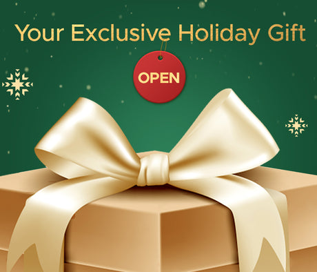 ENGWE Shines in Top 2023 Holiday Gift Guides