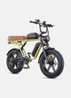 Motorcycle-Styled E-bike